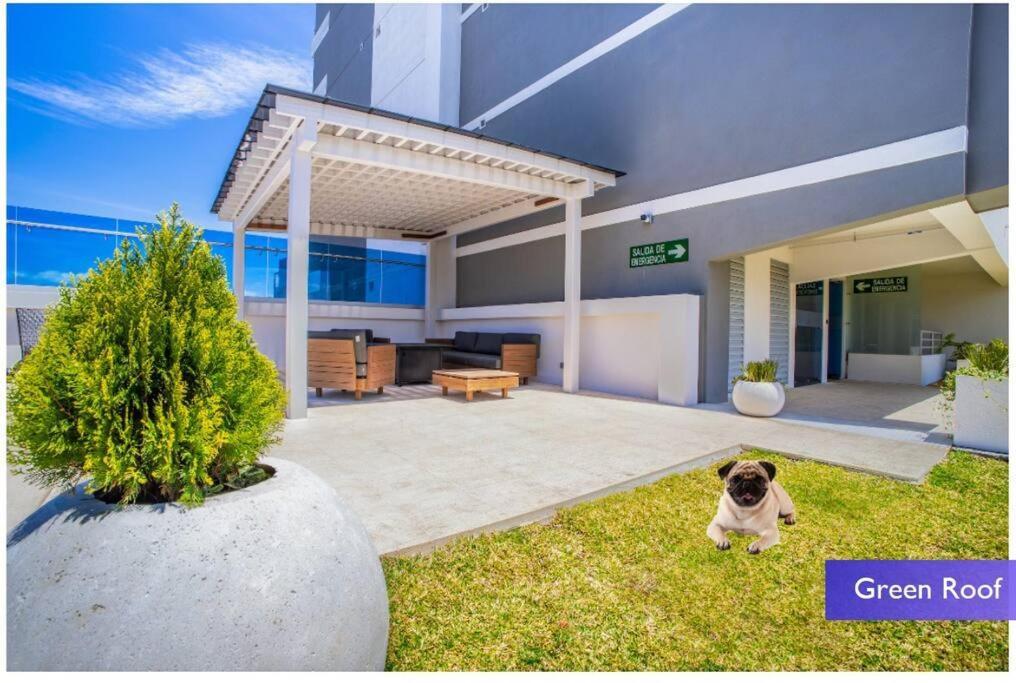 1102 Torre Los Yoses Hermoso Apartamento En Barrio Escalante Sin Parqueo سان هوزيه المظهر الخارجي الصورة