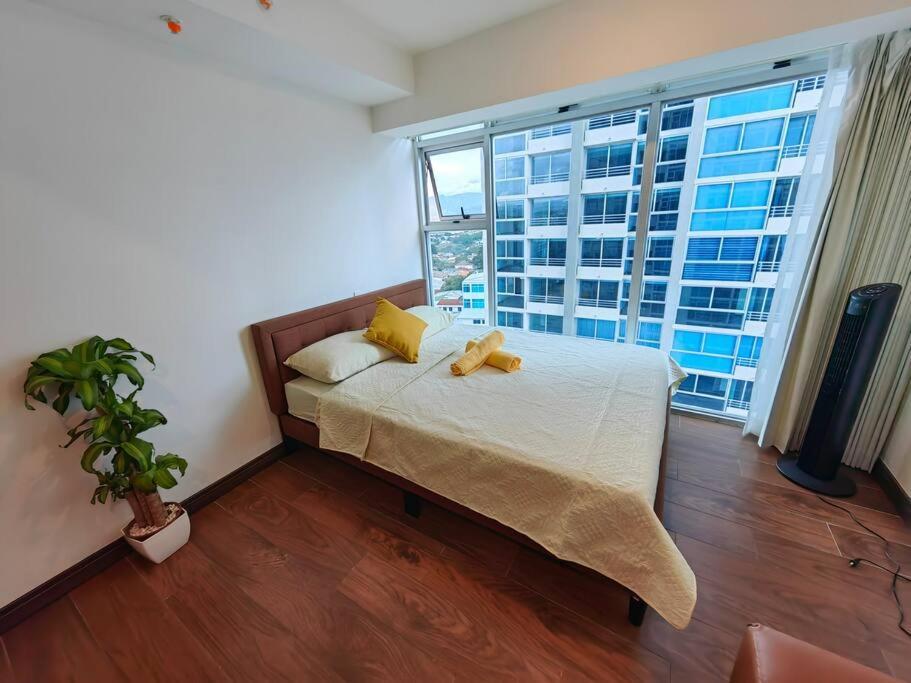 1102 Torre Los Yoses Hermoso Apartamento En Barrio Escalante Sin Parqueo سان هوزيه المظهر الخارجي الصورة