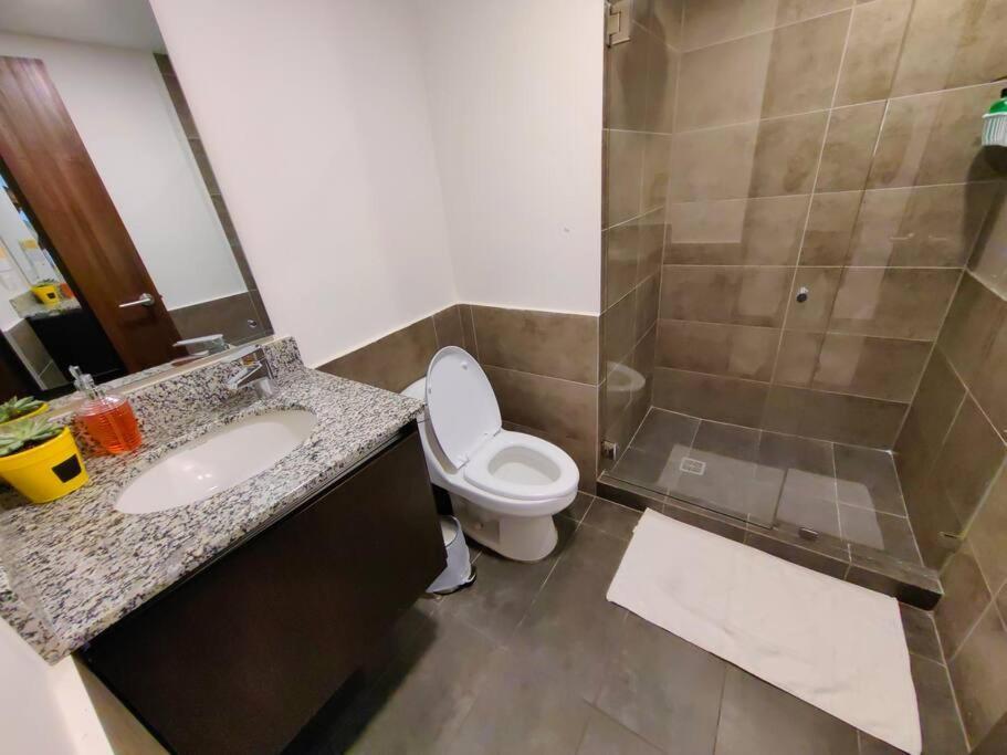 1102 Torre Los Yoses Hermoso Apartamento En Barrio Escalante Sin Parqueo سان هوزيه المظهر الخارجي الصورة