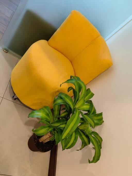 1102 Torre Los Yoses Hermoso Apartamento En Barrio Escalante Sin Parqueo سان هوزيه المظهر الخارجي الصورة